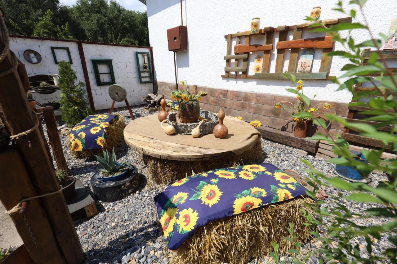 Bed and Breakfast Etno Kuca Teodora Stajicevo Exteriér fotografie