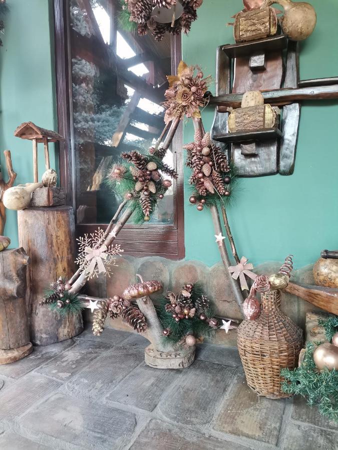 Bed and Breakfast Etno Kuca Teodora Stajicevo Exteriér fotografie