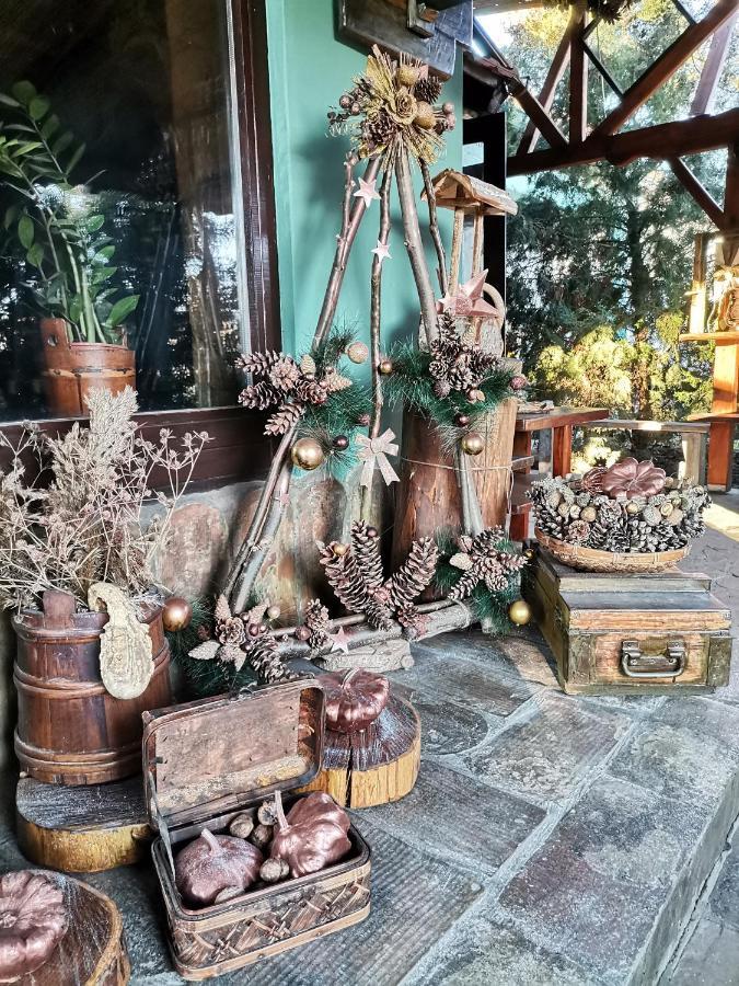 Bed and Breakfast Etno Kuca Teodora Stajicevo Exteriér fotografie