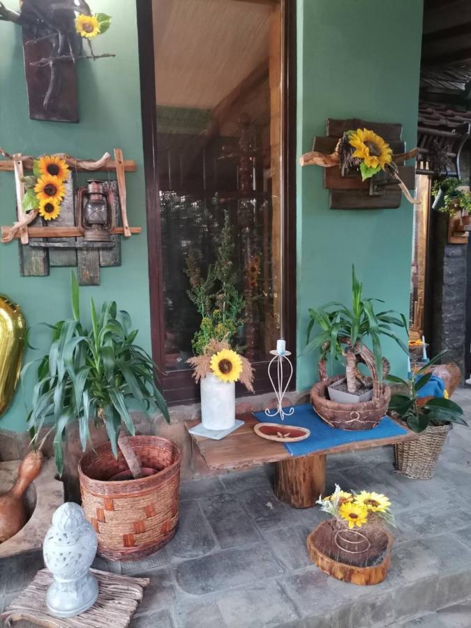 Bed and Breakfast Etno Kuca Teodora Stajicevo Exteriér fotografie